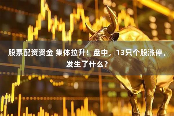 股票配资资金 集体拉升！盘中，13只个股涨停，发生了什么？
